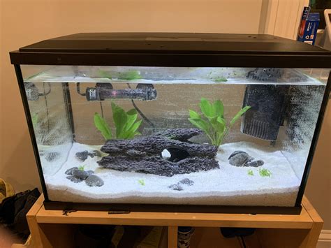 Looking for to setup a Freshwater Shrimp Tank? If yes, this video is for you! Learn all about the Freshwater Shrimp and how to care for them. We go over all ...